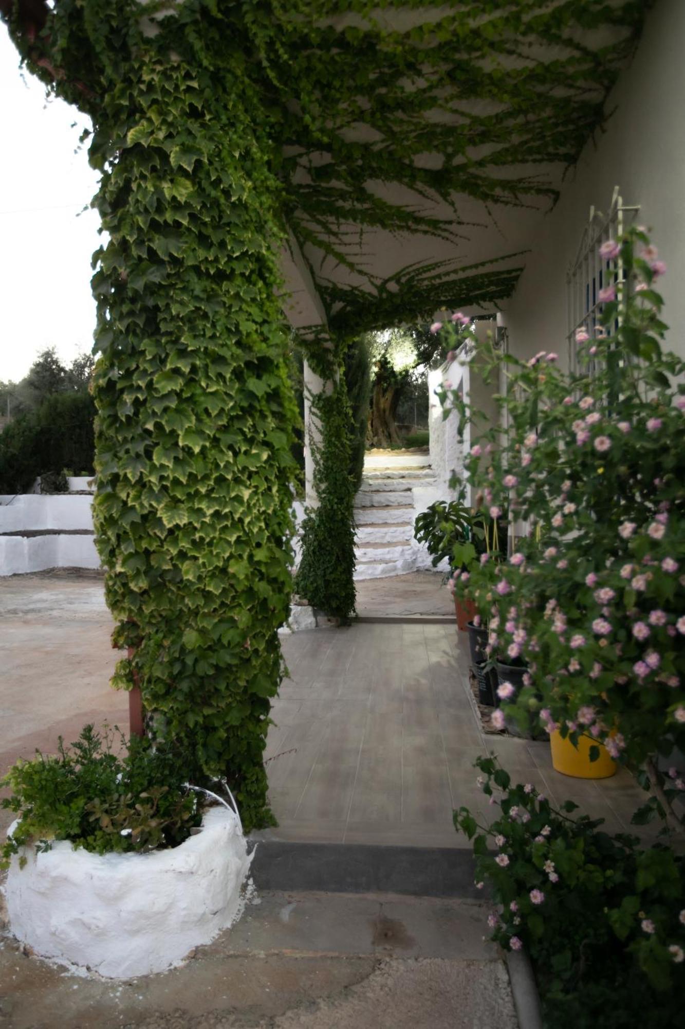 Villa Cortijo Botanico El Cerro Cabra Zimmer foto